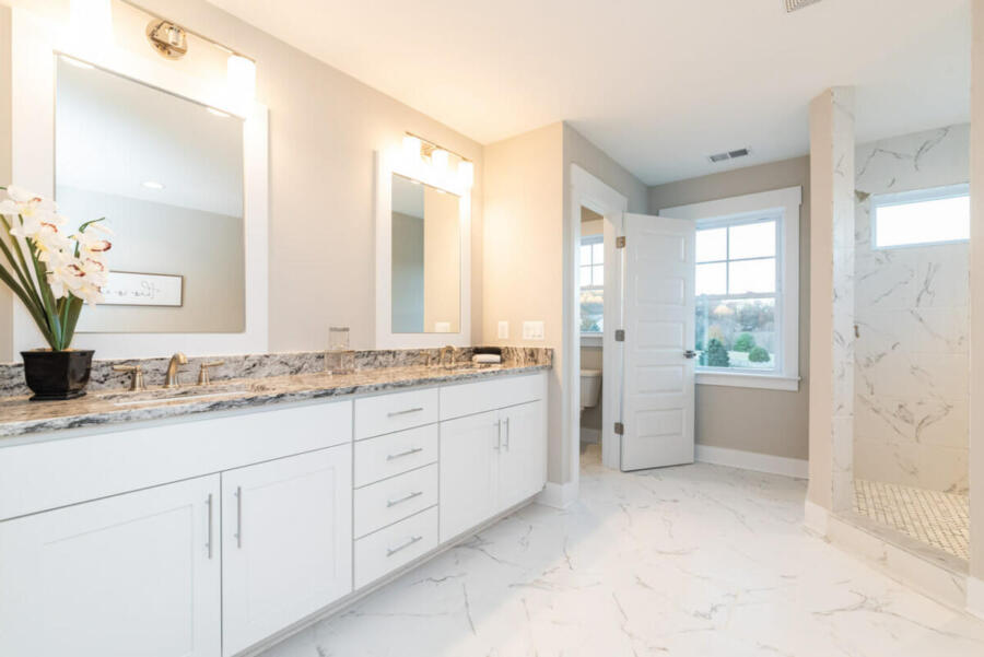 Hunt Valley house master bathroom